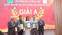 KHI NIỀM TIN TỎA SÁNG