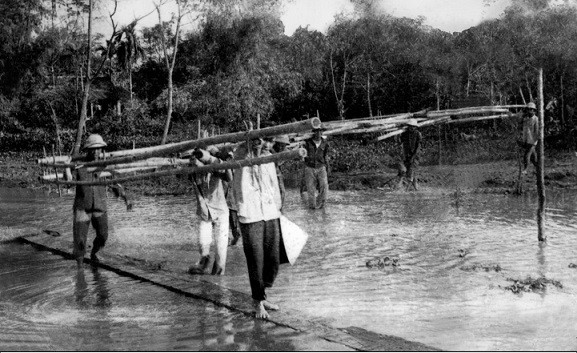 Xây dựng và phát triển Trường Thủy sản trong kháng chiến chống Mỹ (1966 - 1975)