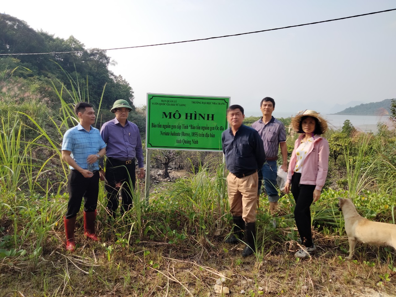 Hiện trạng nghiên cứu về lĩnh vực nhuyễn thể của Trường Đại học Nha Trang 