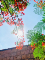 Đại học Nha Trang trong tôi