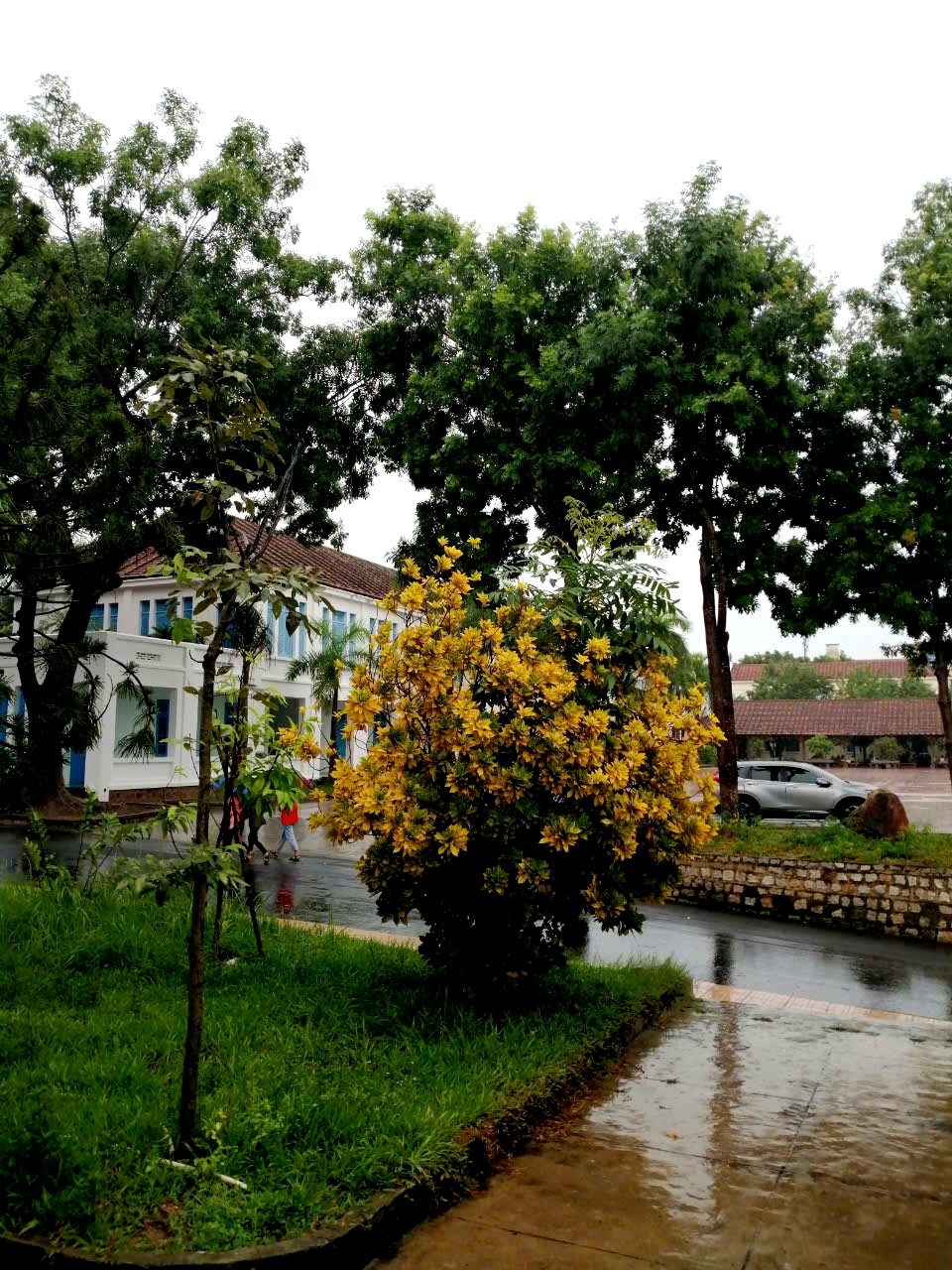 Gió sẽ đưa ta đến nơi cần đến
